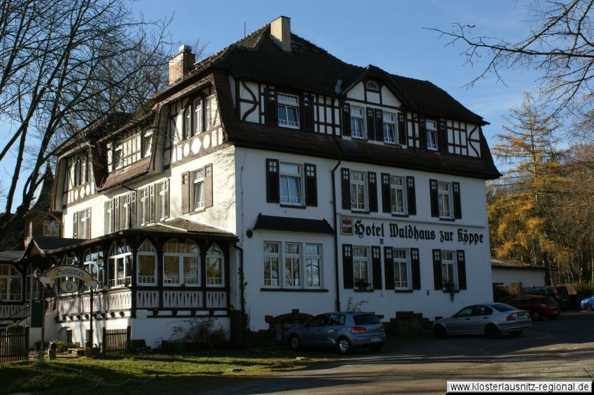 Hotel Waldhaus zu Köppe 2010. 