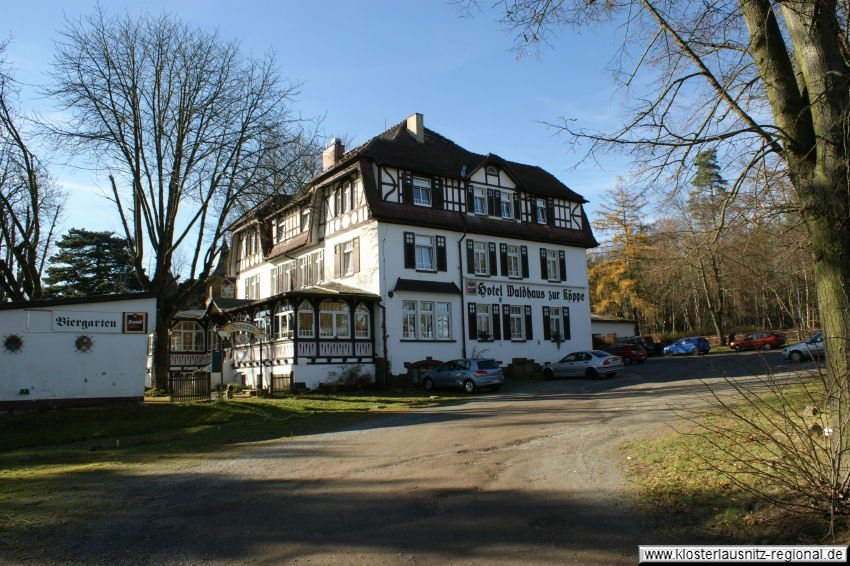 Hotel Waldhaus zu Köppe 2010. 