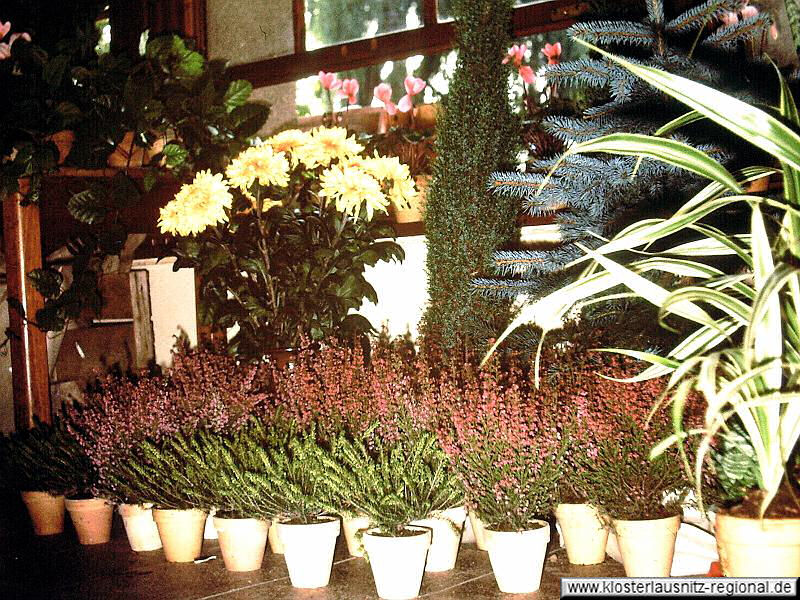 1977_Gartenausstellung-022