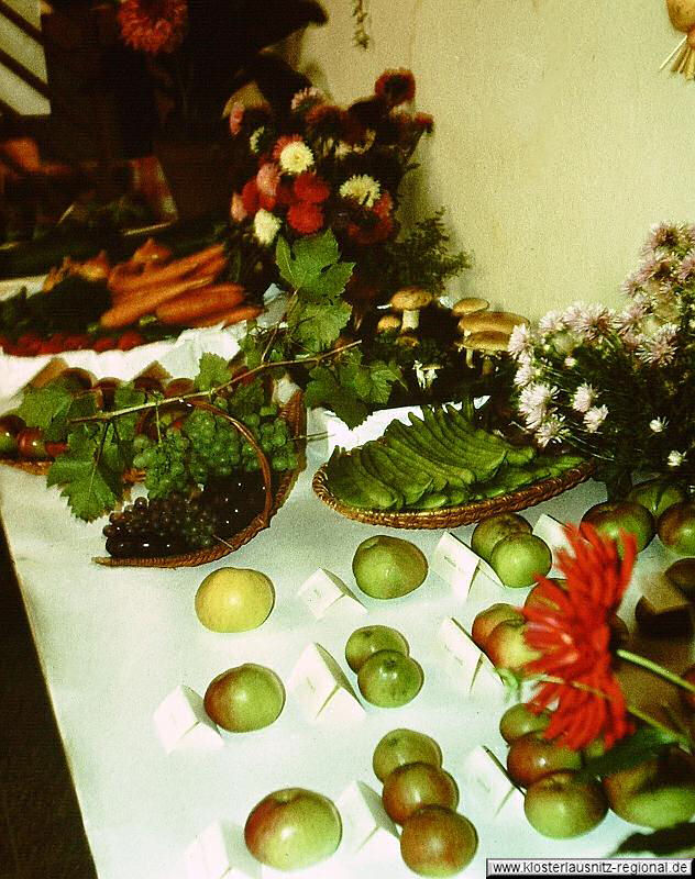 1977_Gartenausstellung-036