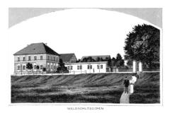 photo011