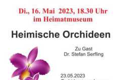 2023-05-Orchideen