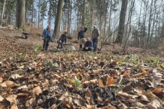 k-08.04-25-Arbeitseinsatz-6