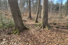 k-08.04-25-Arbeitseinsatz-7