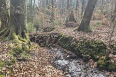 k-08.04-25-Arbeitseinsatz-8