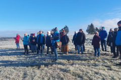 k-3-Birken-2-e1766056437594