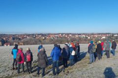 k-3-Birken-e1766056308435