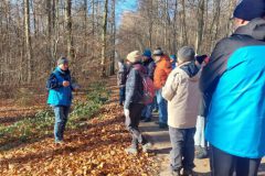 k-Rast-in-den-Buchen-e1766055616197